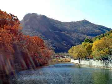 管家婆免费正版资起大全，山东周村电热锅